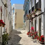 Gaivota Sesimbra