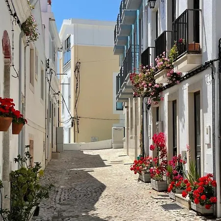 Gaivota Sesimbra
