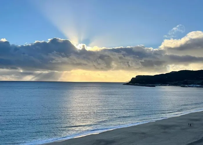 Gaivota * セシンブラ